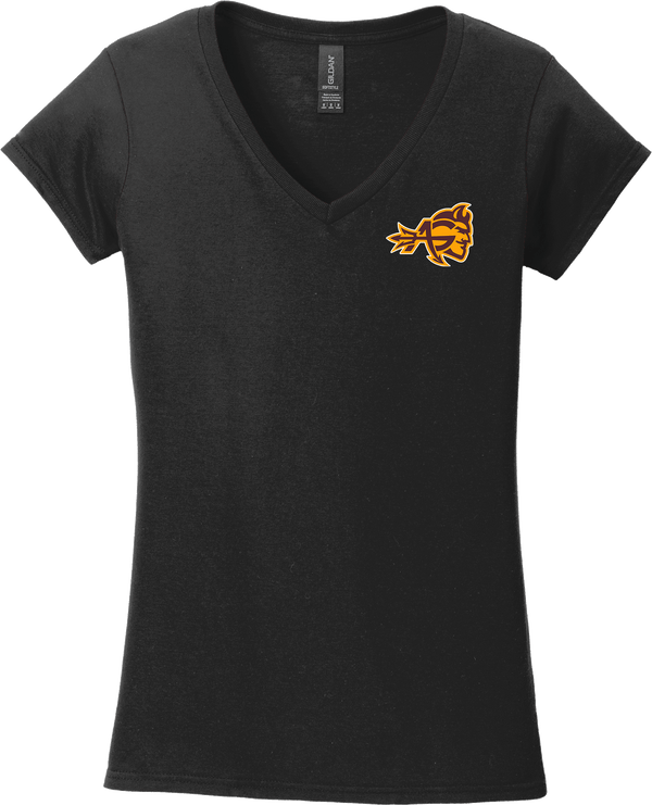 Avon Grove Softstyle Ladies Fit V-Neck T-Shirt