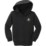 Upland Basketball Toddler Core Fleece Pullover Hooded Sweatshirt