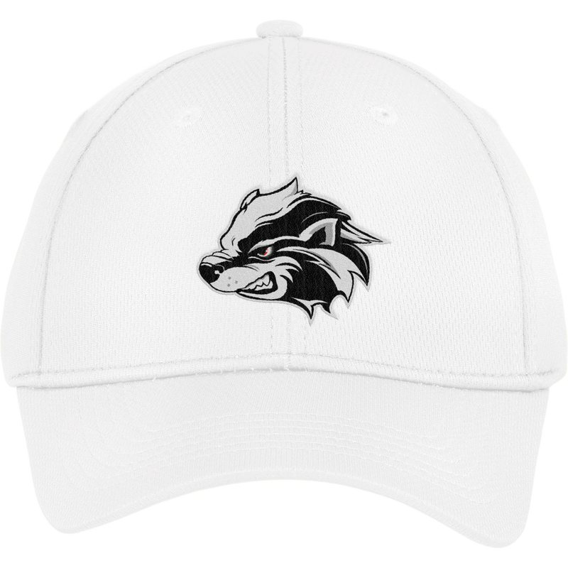 Allegheny Badgers Youth PosiCharge RacerMesh Cap