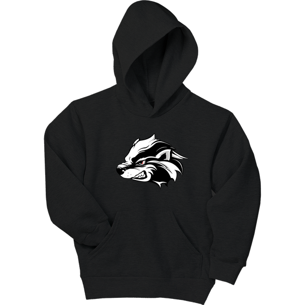 Allegheny Badgers Youth EcoSmart Pullover Hooded Sweatshirt